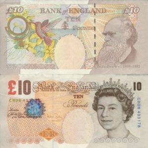 Scam Alert: Fake Bank Notes Circulating in Record Numbers!