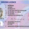 Wie man in Deutschland einen Führerschein erhält: Eine Schritt-für-Schritt-Anleitung