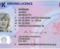 Wie man in Deutschland einen Führerschein erhält: Eine Schritt-für-Schritt-Anleitung